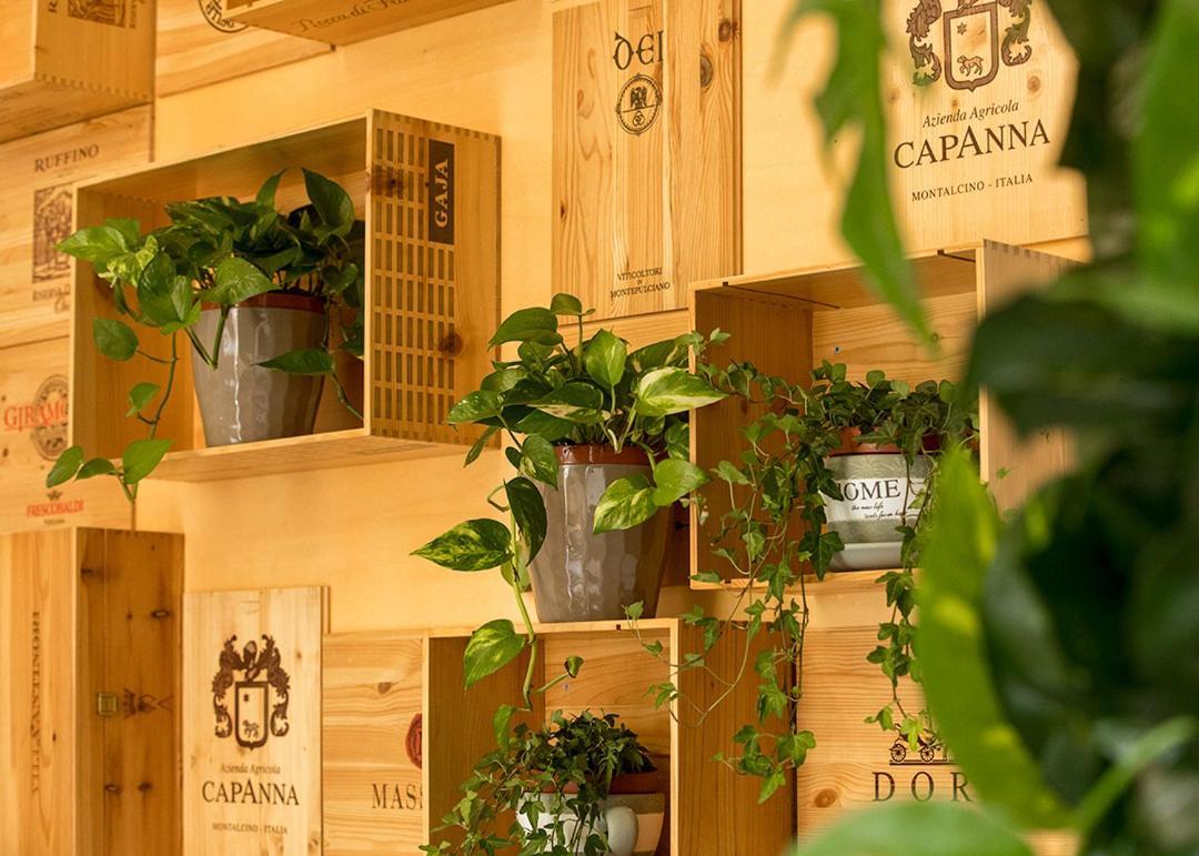 Casa de hóspedes Salus *